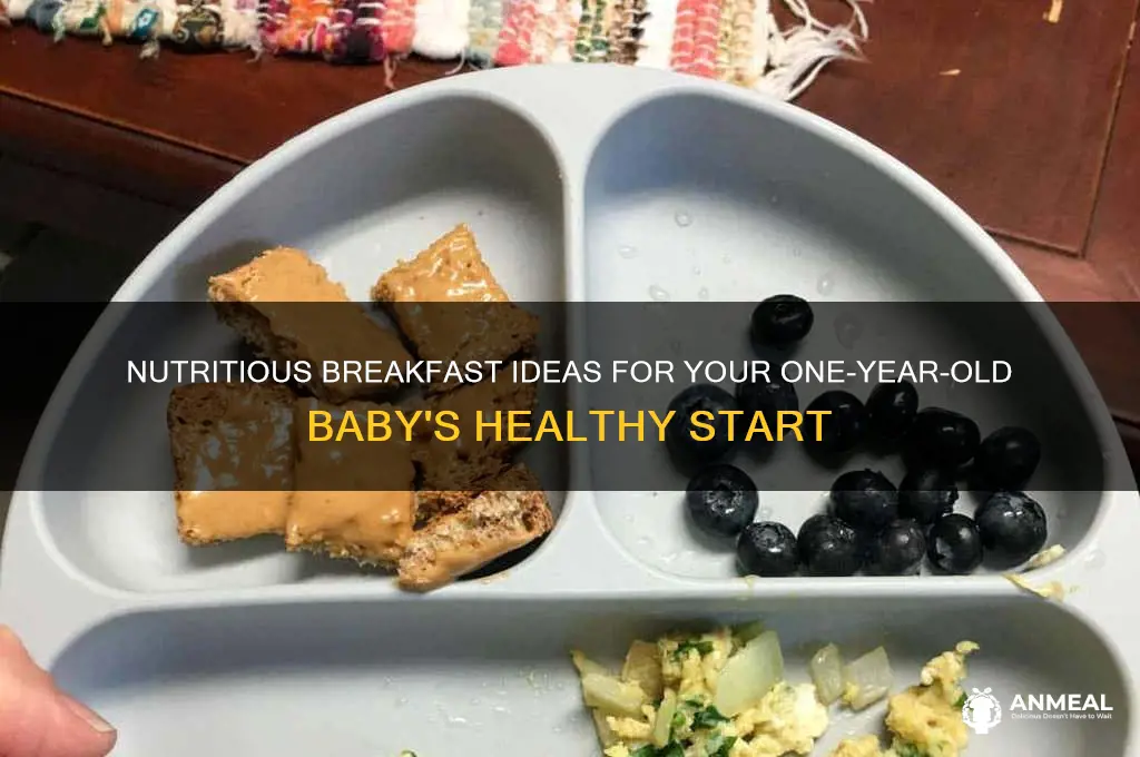 what to give a one year old baby for breakfast