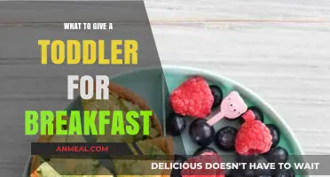 Healthy Toddler Breakfast Ideas: Quick, Nutritious, and Kid-Approved Morning Meals
