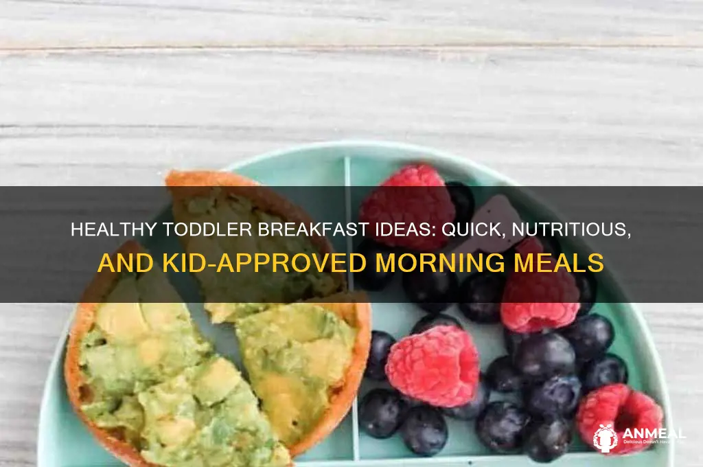 what to give a toddler for breakfast