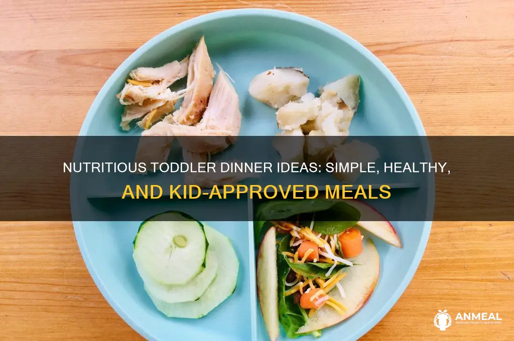 what to give a toddler for dinner