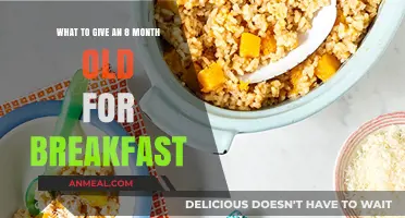 Nutritious Breakfast Ideas for Your 8-Month-Old Baby's Healthy Start
