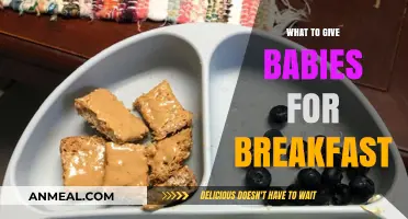 Healthy Baby Breakfast Ideas: Simple, Nutritious Morning Meals for Infants