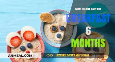 Healthy Breakfast Ideas for Your 6-Month-Old Baby's Morning Meal