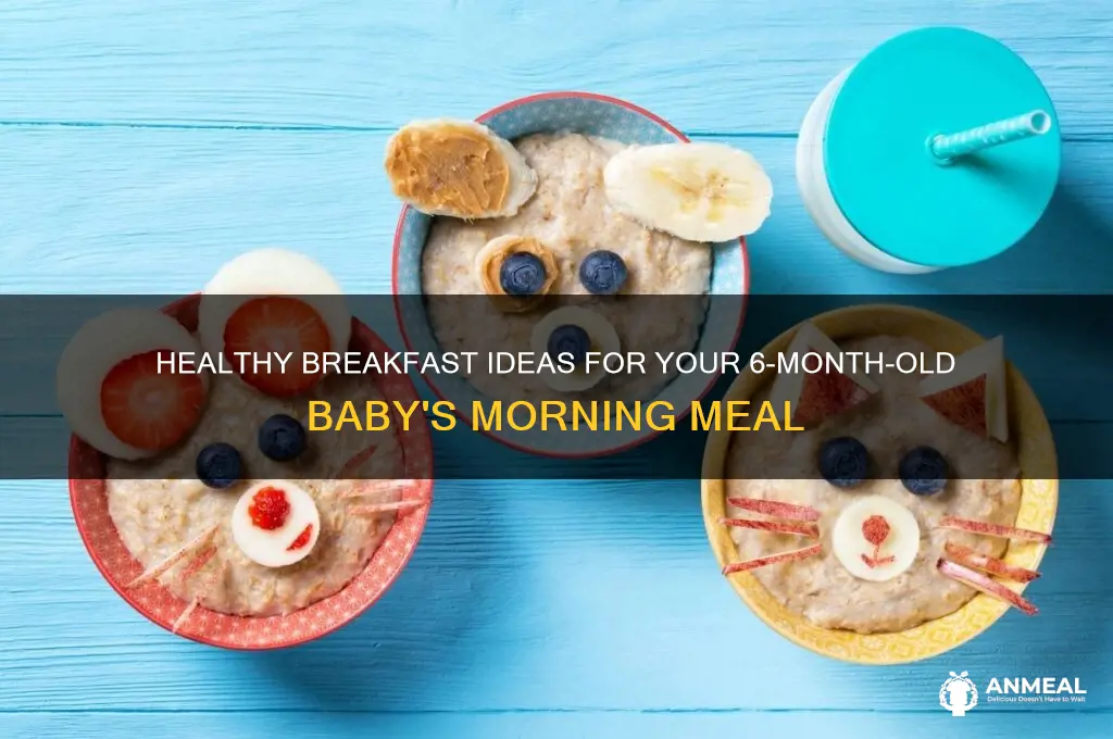 what to give baby for breakfast 6 months