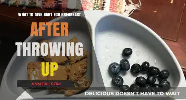 Gentle Breakfast Options for Babies After Vomiting: Soothing and Safe Choices