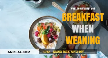 Wholesome Weaning Breakfast Ideas for Your Baby's First Solids