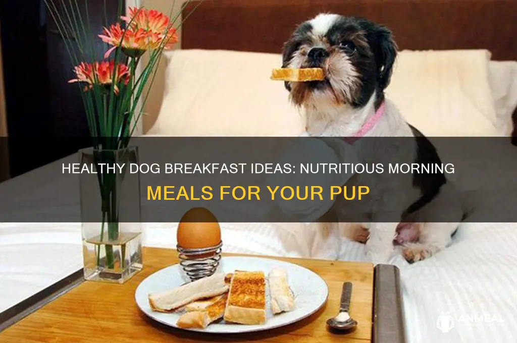 what to give dog for breakfast