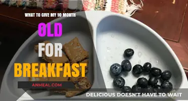 Healthy Breakfast Ideas for Your 10-Month-Old Baby's Morning Meal
