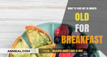Healthy Breakfast Ideas for Toddlers: 15-Month-Old Meal Inspiration