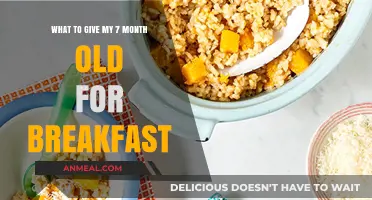 Nutritious Breakfast Ideas for Your 7-Month-Old Baby's Healthy Start