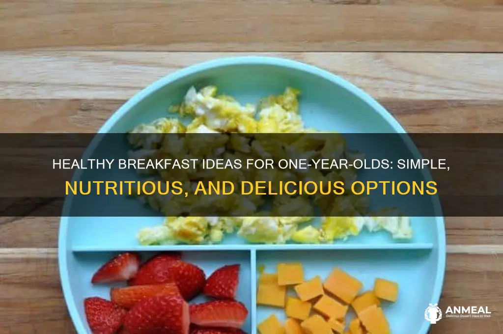 what to give one year old for breakfast