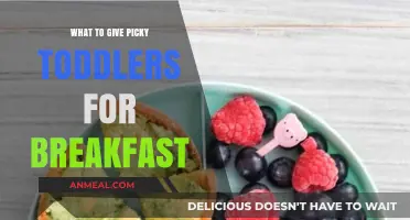 Delicious and Nutritious Breakfast Ideas for Picky Toddler Eaters
