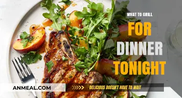 Sizzling Dinner Ideas: Quick and Easy Grill Recipes Tonight