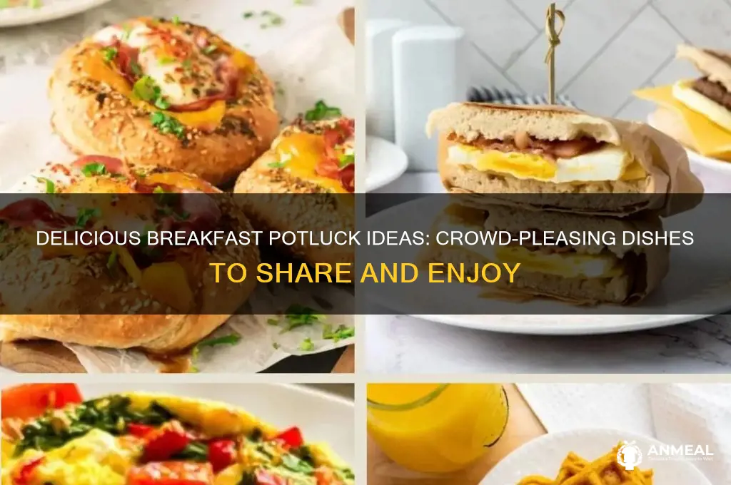 what to have at a breakfast potluck