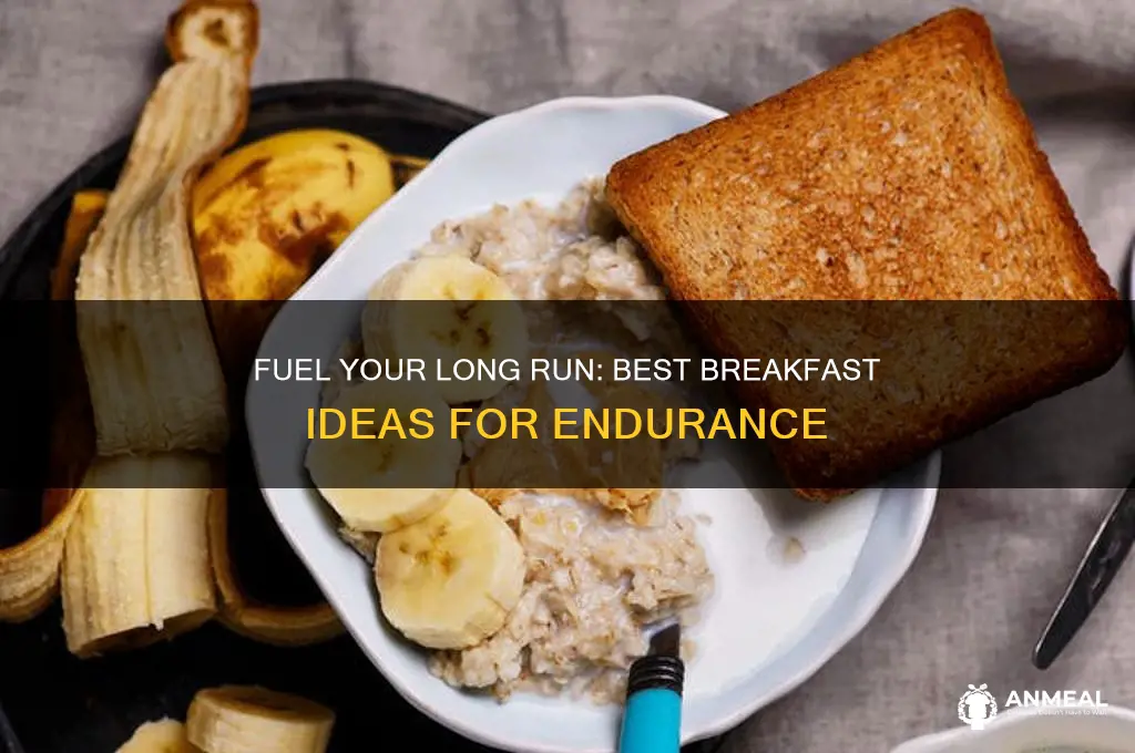 what to have for breakfast before a long run