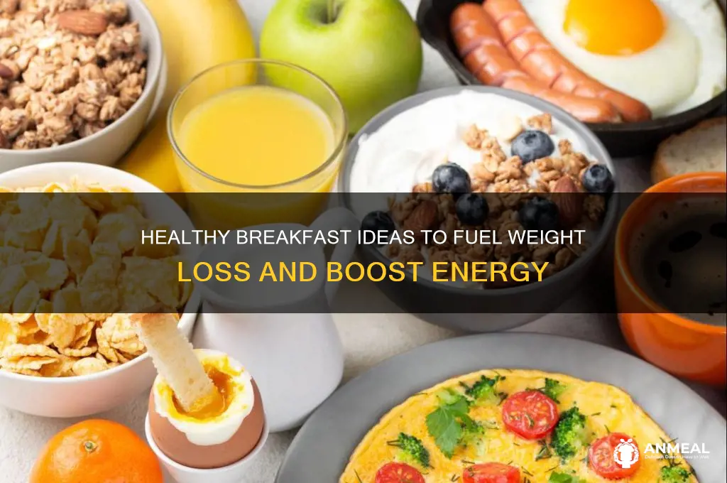 what to have for breakfast for weight loss