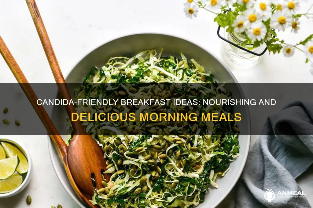 what to have for breakfast on a candida diet