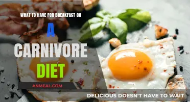 Carnivore Breakfast Ideas: Delicious, Nutrient-Packed Morning Meal Options
