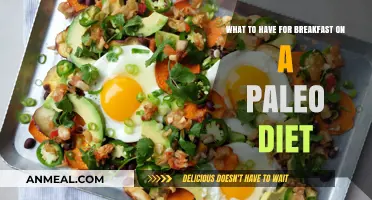 Paleo Breakfast Ideas: Delicious, Nutrient-Packed Morning Meals to Fuel Your Day