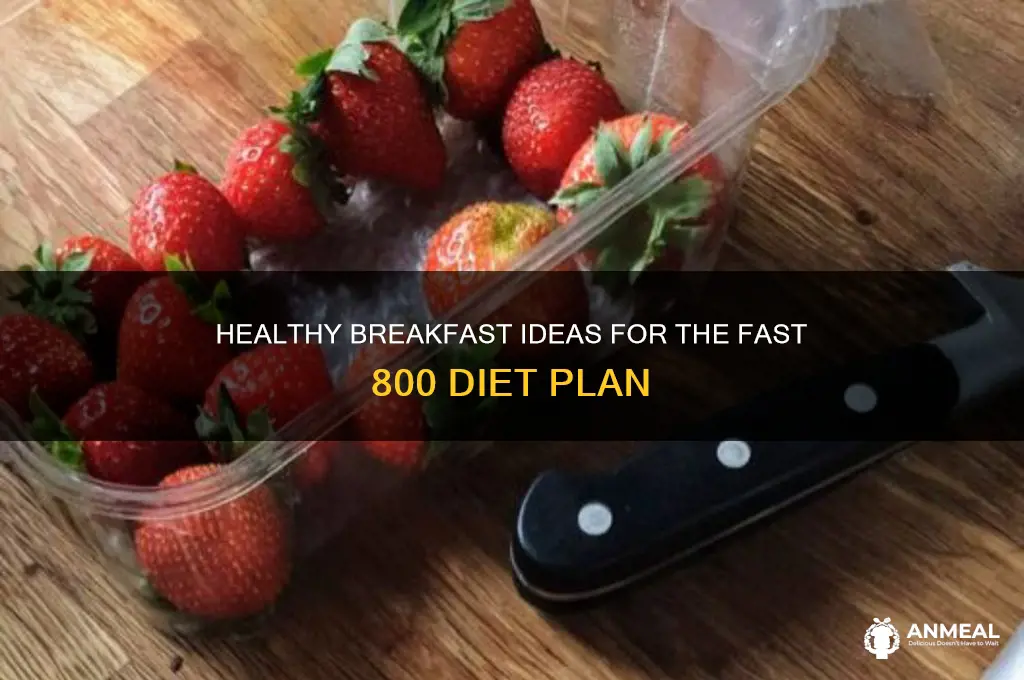 what to have for breakfast on fast 800