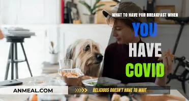 Nutritious Breakfast Ideas to Boost Recovery During COVID-19 Illness