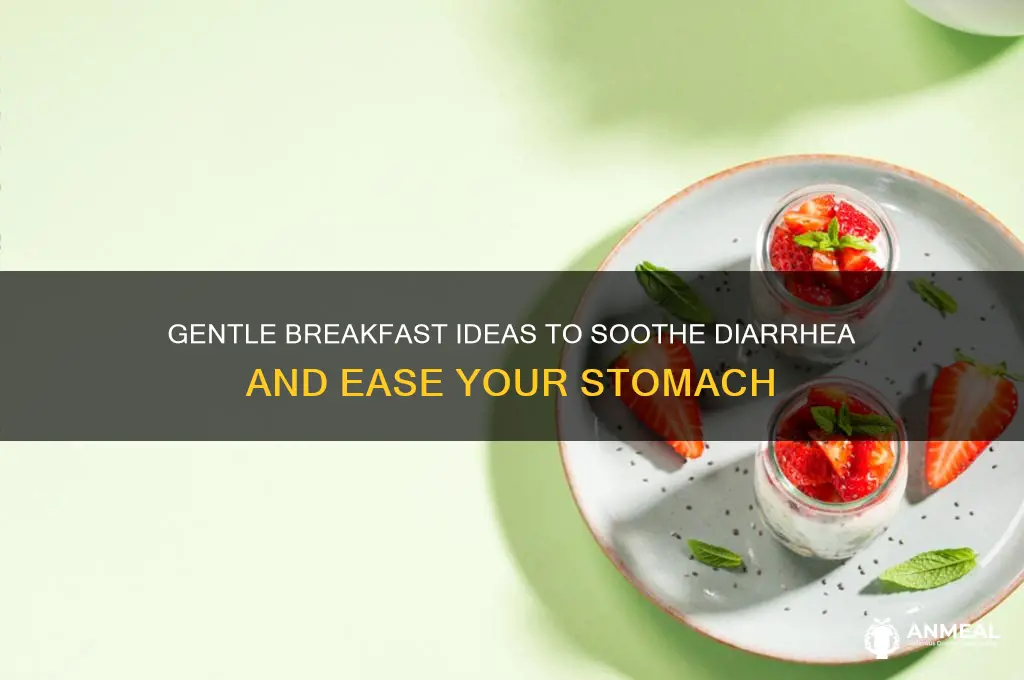 what to have for breakfast when you have diarrhea