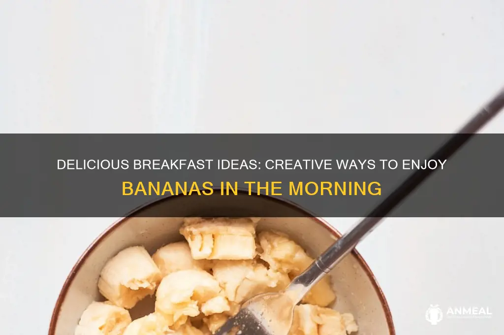 what to have for breakfast with bananas