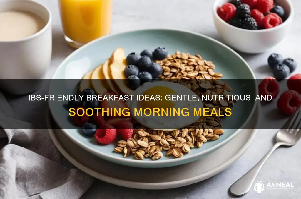 what to have for breakfast with ibs