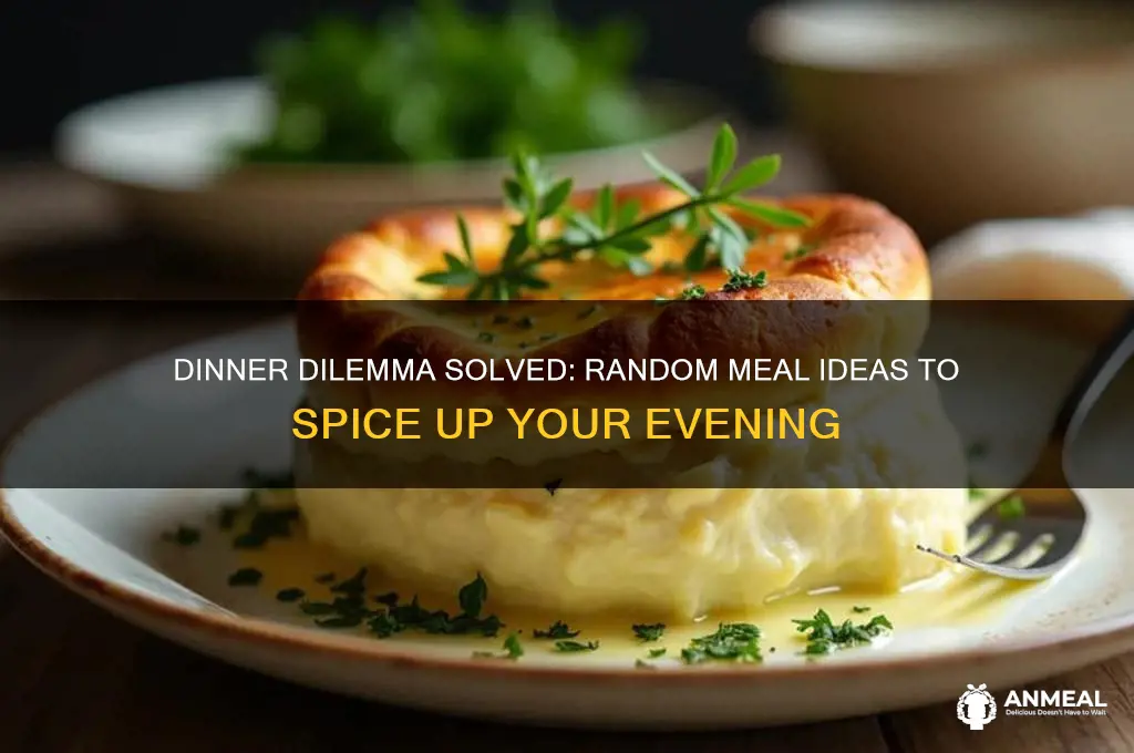 what to have for dinner randomizer