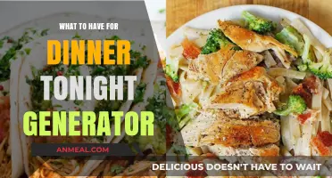 Quick Dinner Ideas: Your Ultimate Meal Generator for Tonight's Feast