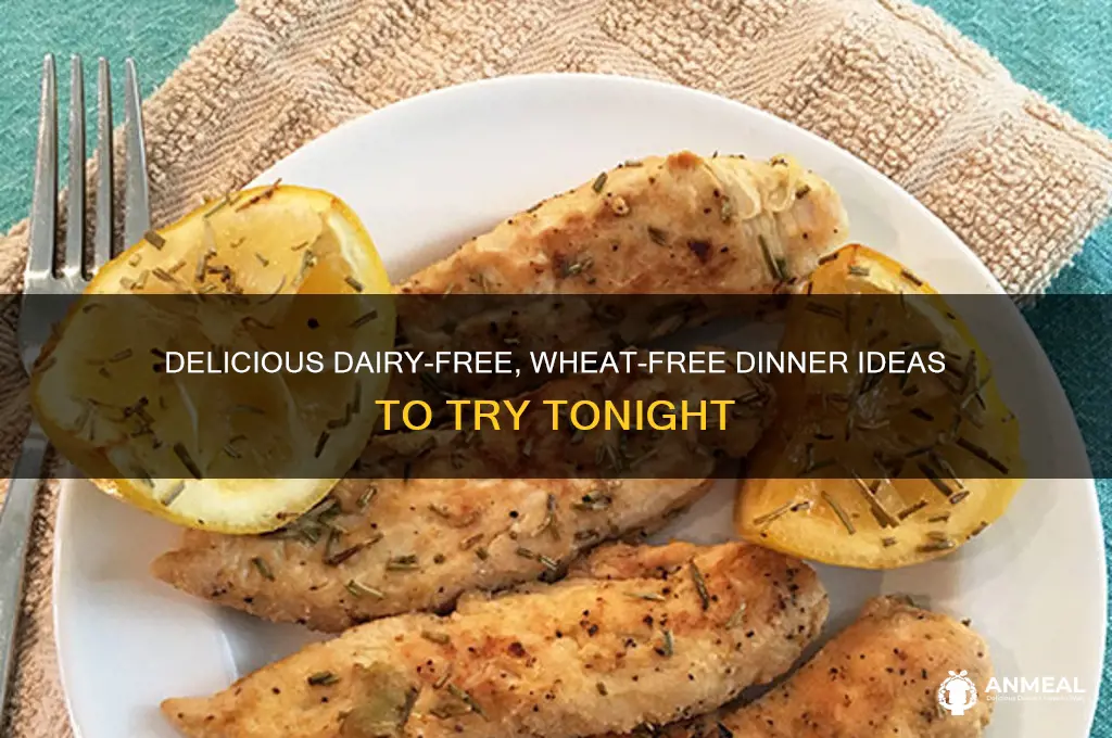 what to have for dinner tonight no dairy or wheat