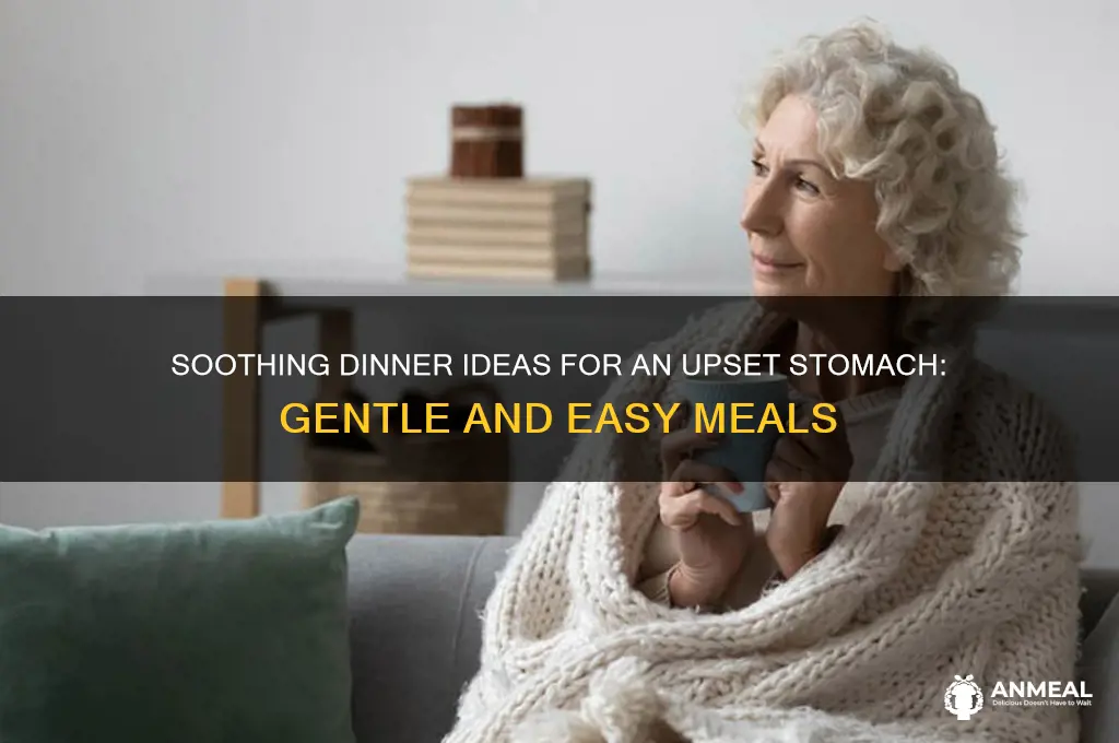 what to have for dinner when your stomach is upset