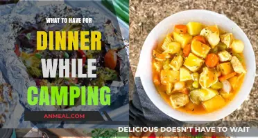 Camping Dinner Ideas: Easy, Tasty Meals for Outdoor Adventures