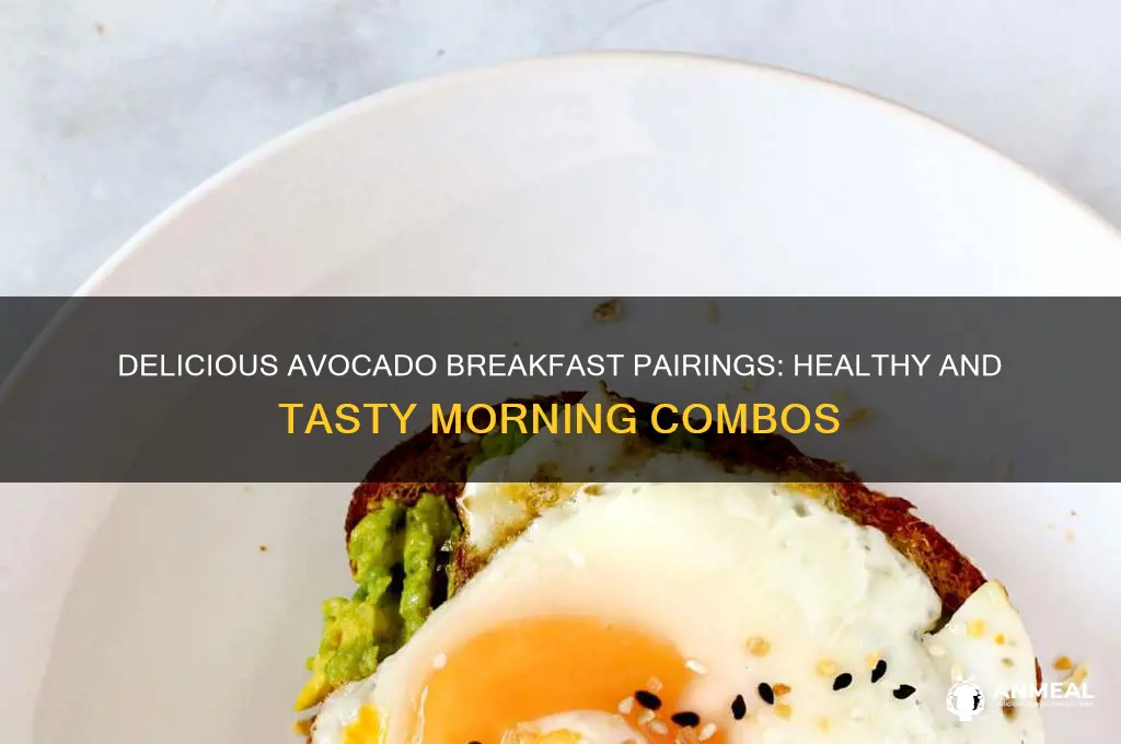 what to have with avocado for breakfast