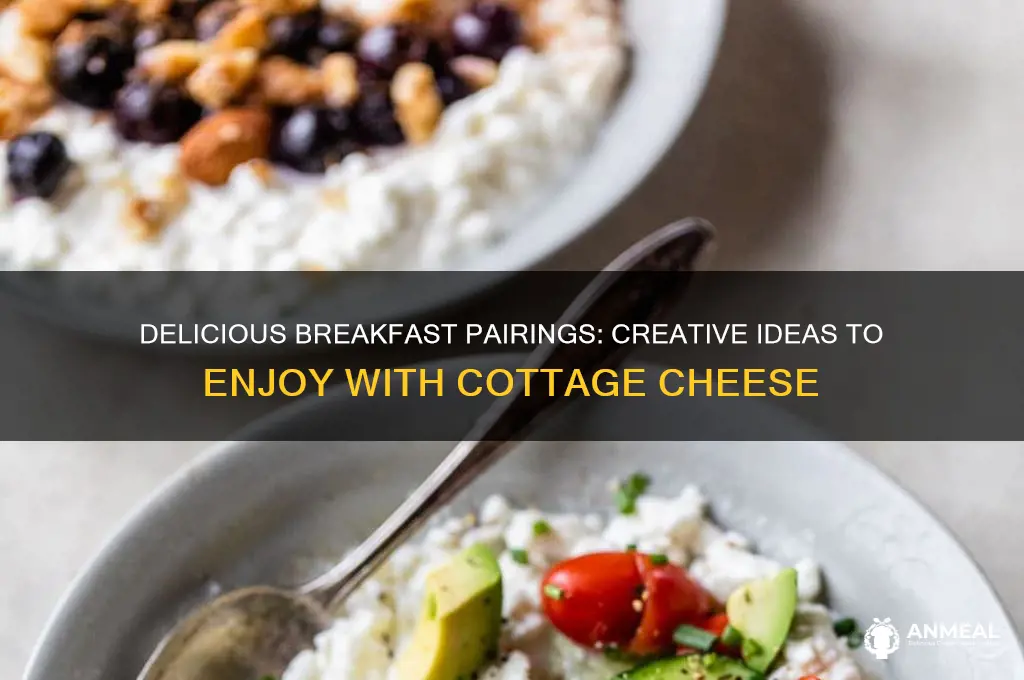 what to have with cottage cheese for breakfast