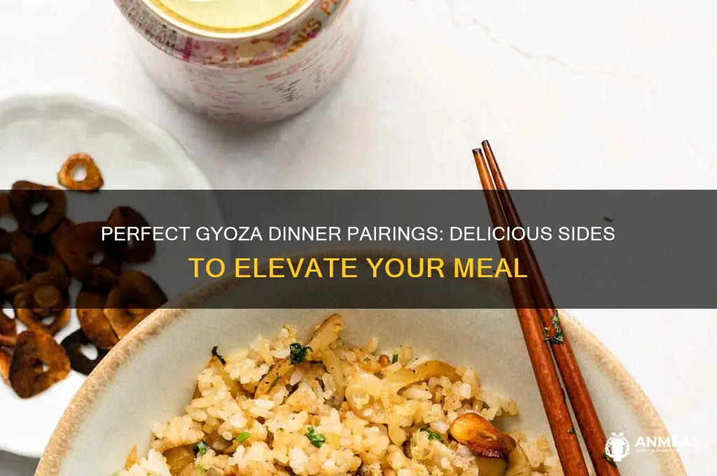 what to have with gyoza for dinner