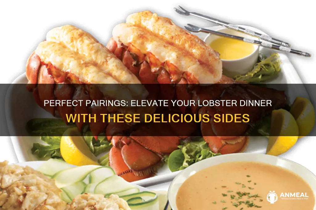 what to have with lobster dinner