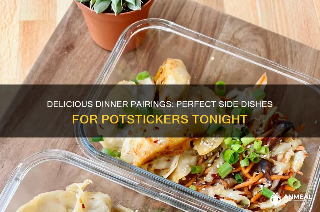 what to have with potstickers for dinner
