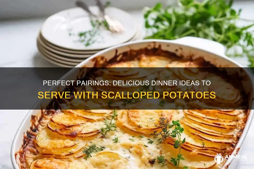 what to have with scalloped potatoes for dinner