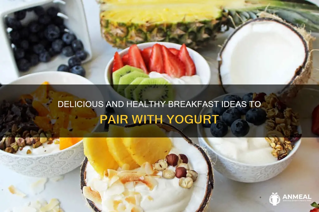 what to have with yoghurt for breakfast