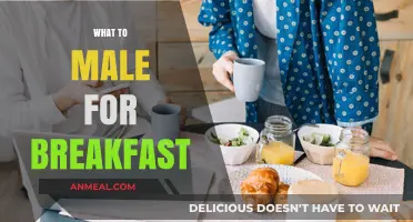 Quick & Easy Breakfast Ideas for Busy Men to Make