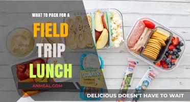 Delicious and Nutritious: Your Ultimate Field Trip Lunch Guide