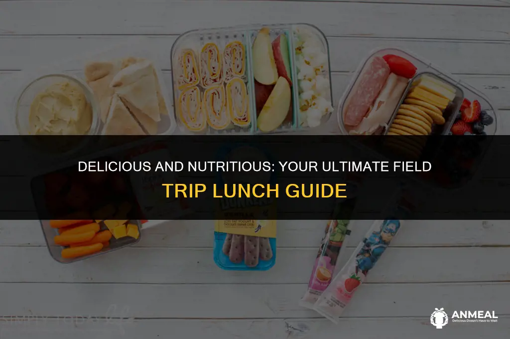 what to pack for a field trip lunch