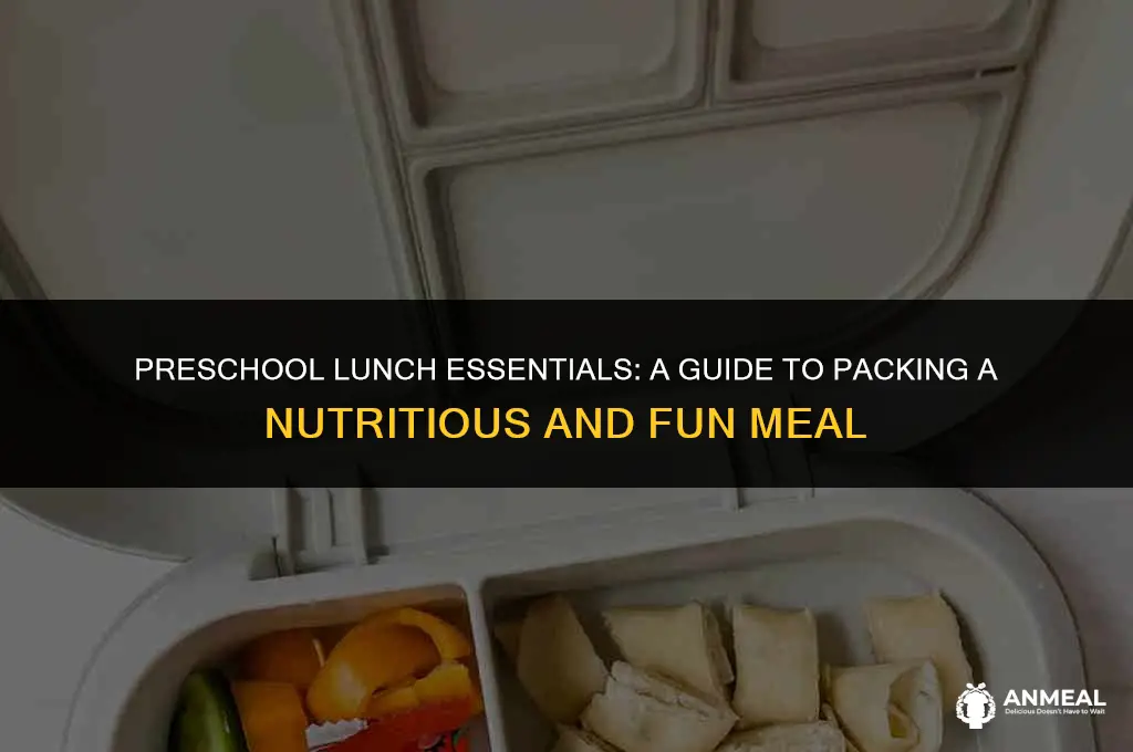 what to pack for preschool lunch