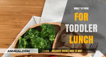 Delightful and Nutritious: Toddler Lunch Packing Essentials