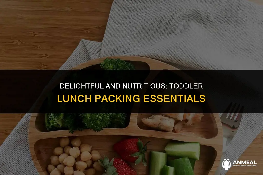 what to pack for toddler lunch