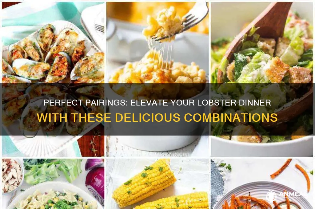 what to pair with lobster dinner