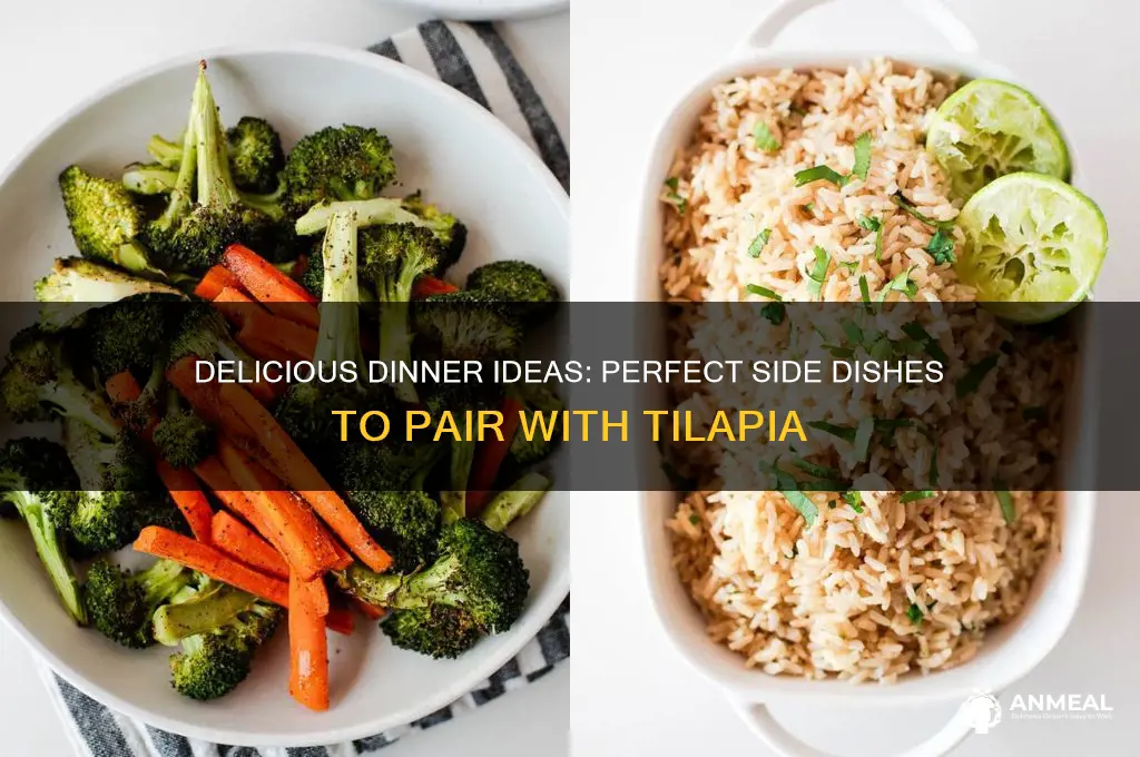 what to pair with tilapia for dinner