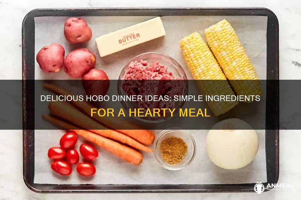 what to put in a hobo dinner