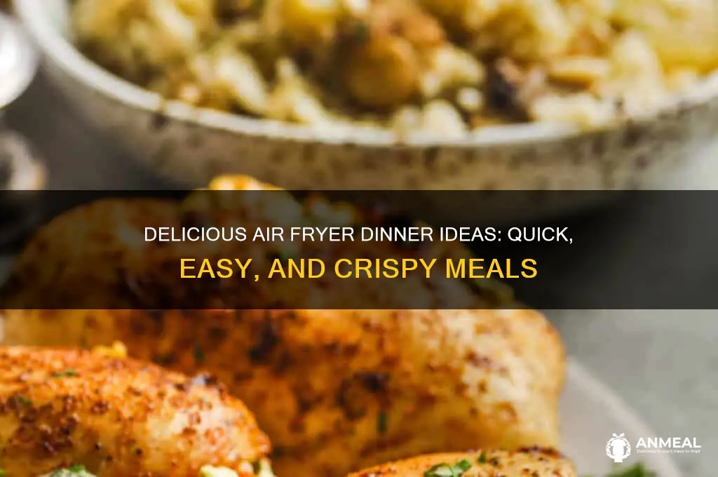what to put in an air fryer for dinner